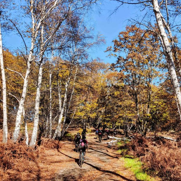 Ciclovie del lago Trail