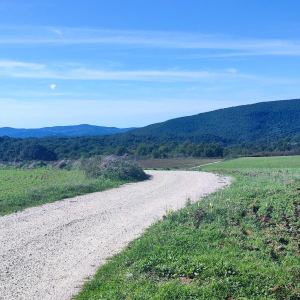 Castagna Trail
