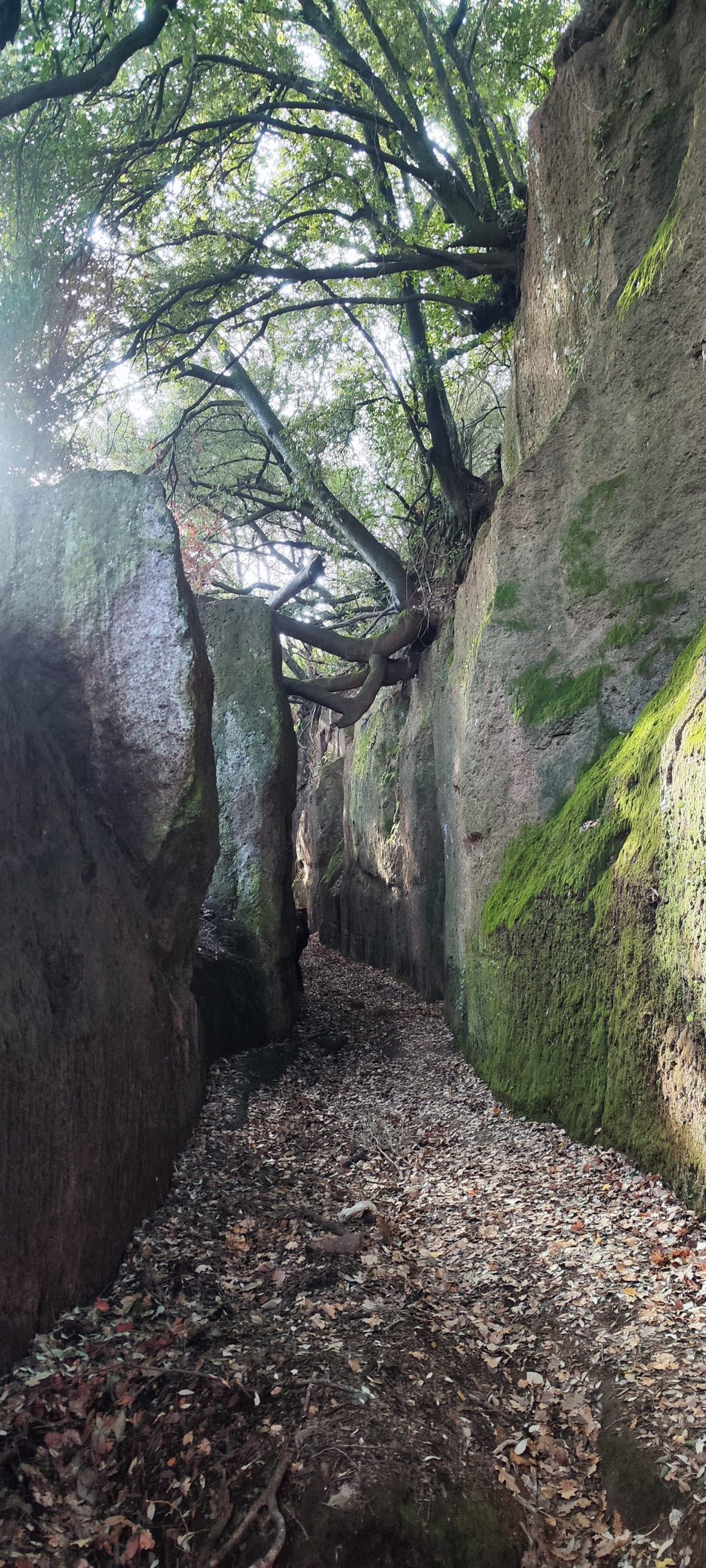 Cava Buia Trail