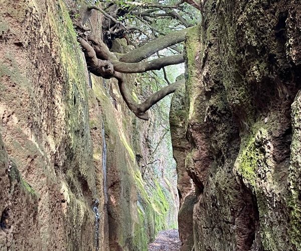 Trail delle Vie Cave