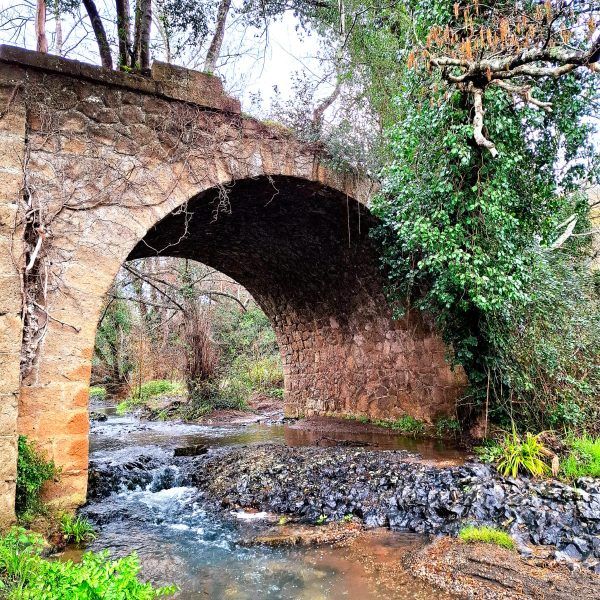 Trail delle Cascate