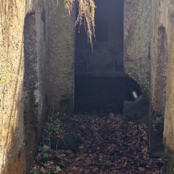 ArcheoTrail