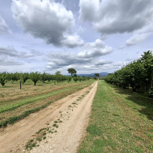 San Famiano Trail