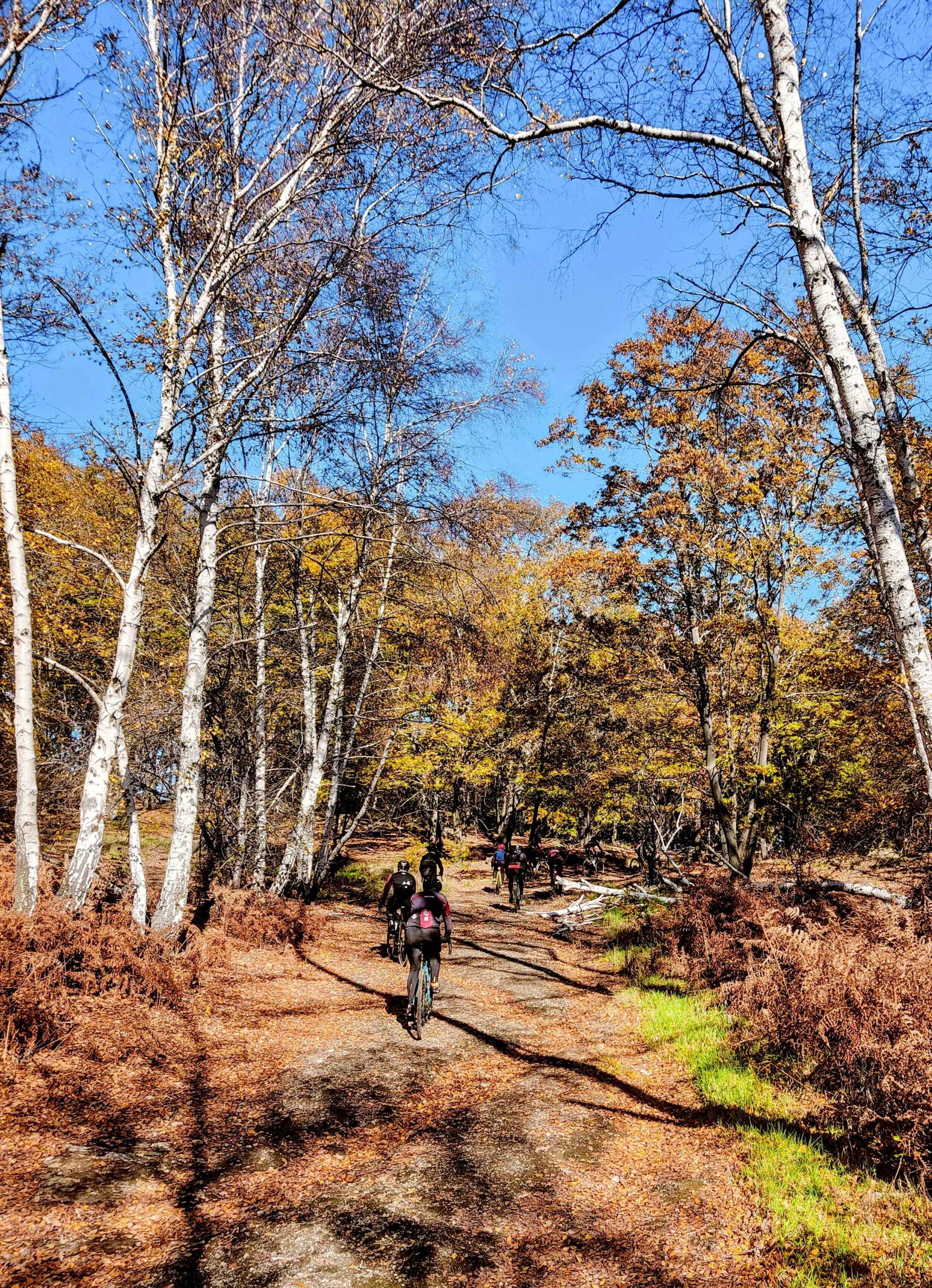 Betulla Trail